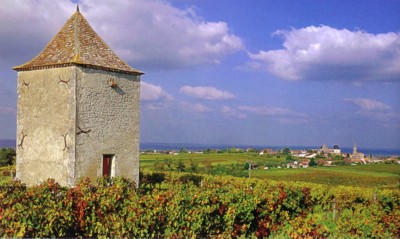 Le vignoble de Saussignac