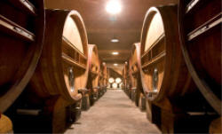 Domaine de Trévallon, barriques et foudres