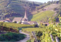 Vignoble d'Alsace