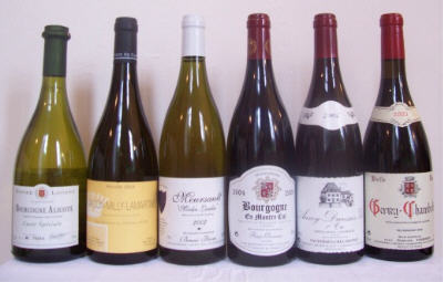 La Bourgogne et ses vins