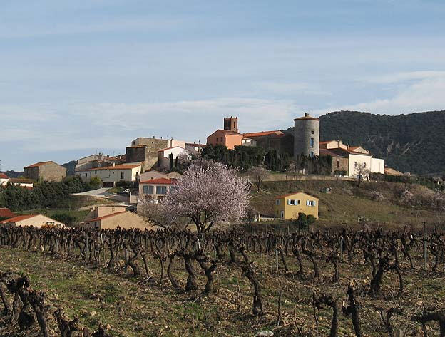 Montner (Pyrénées Orientales)