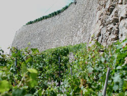 Gurites, ces cabanes dans les vignes