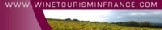 Wine Tourism in France