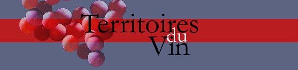Territoires du Vin logo
