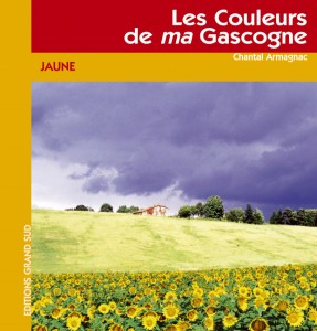 Chantal Armagnac, Les couleurs de ma Gascogne -JAUNE