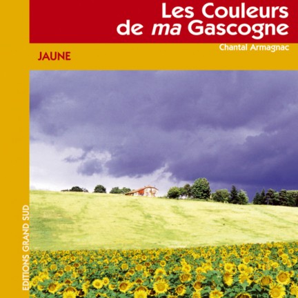 Chantal Armagnac, Les couleurs de ma Gascogne -JAUNE