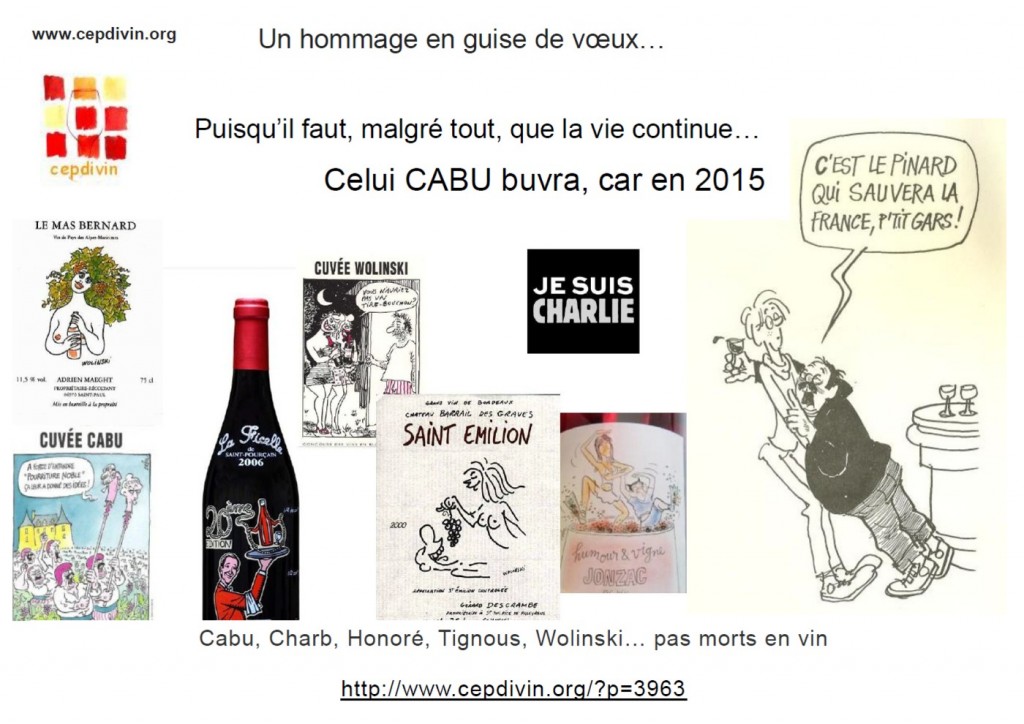 voeux 2015