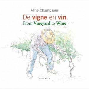 de-vigne-en-vin