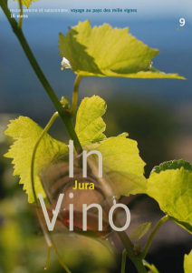 in-vino-9