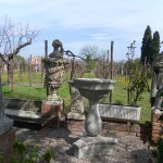 Le vignoble de Torcello
