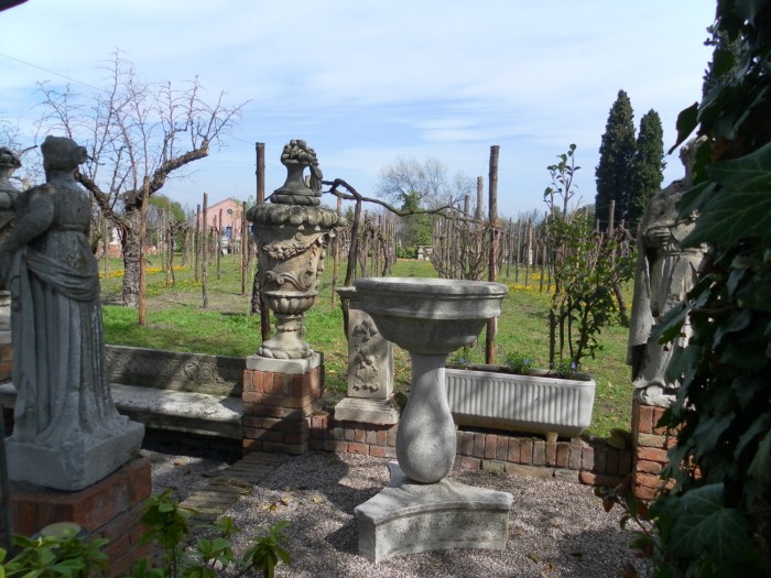 Le vignoble de Torcello