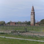 Vignoble de Mazzorbo