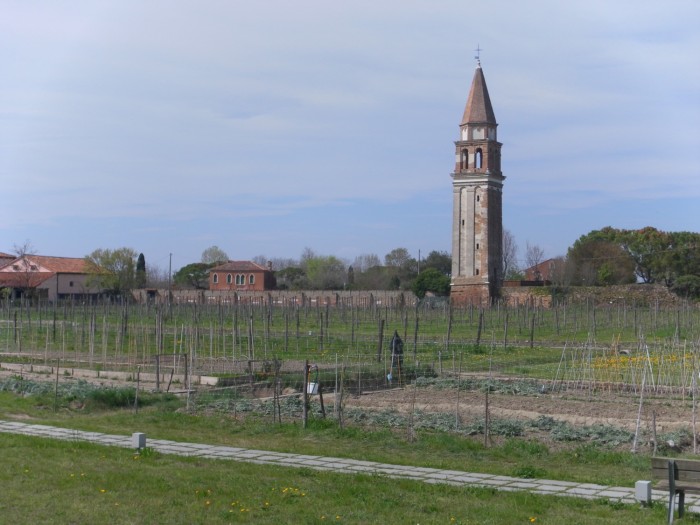 Vignoble de Mazzorbo