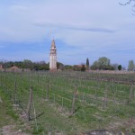 Vignoble de Mazzorbo