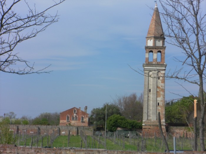 Vignoble de Mazzorbo