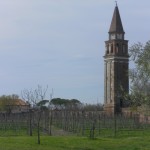 Vignoble de Mazzorbo