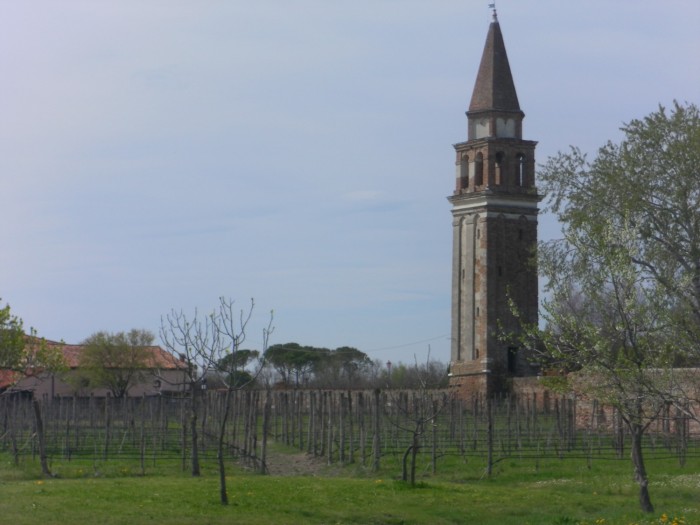 Vignoble de Mazzorbo