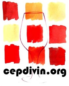 cepdivin-logo